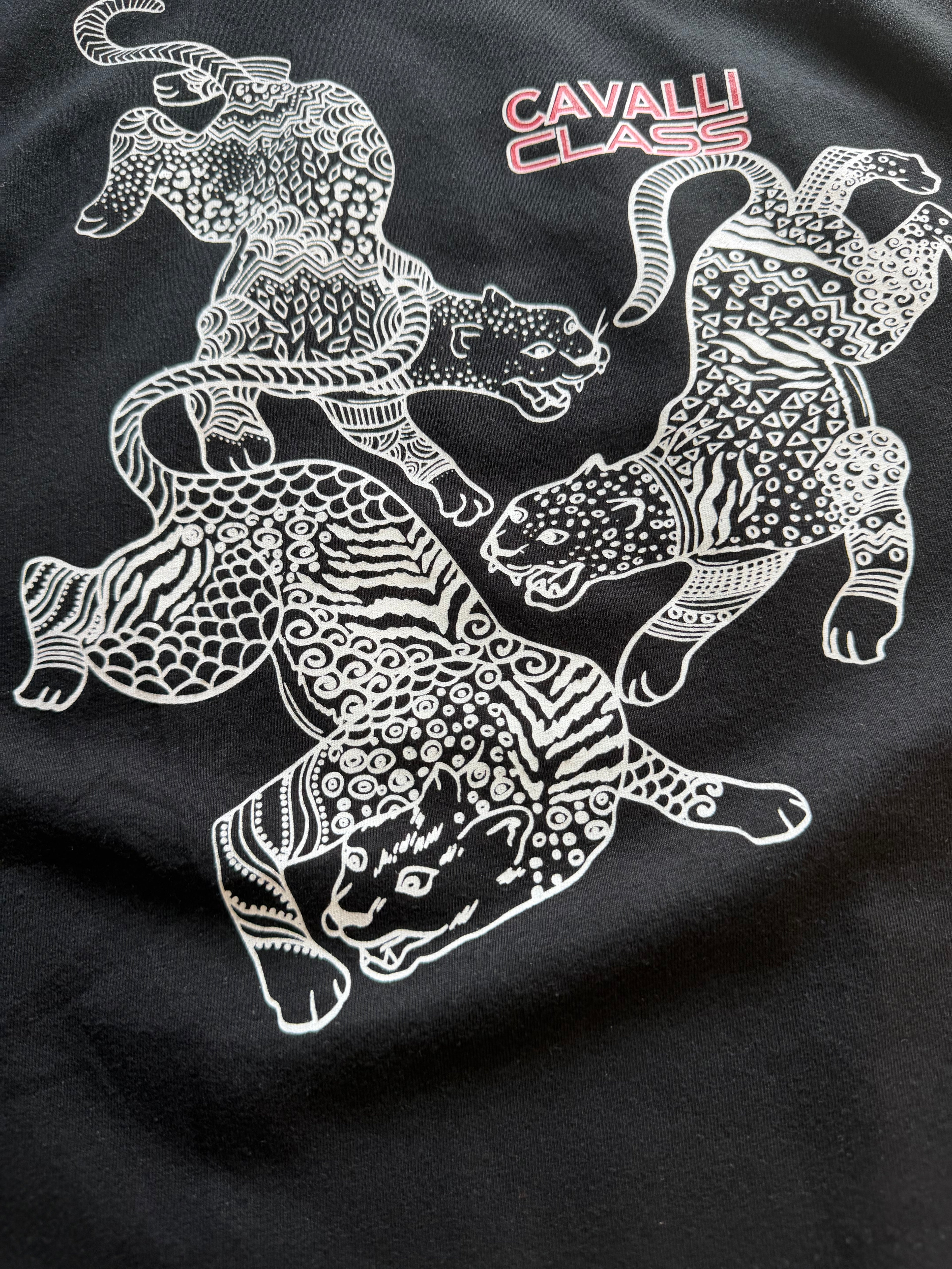 CAMISETA CAVALLI CLASS
