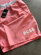 Conjunto BOSS