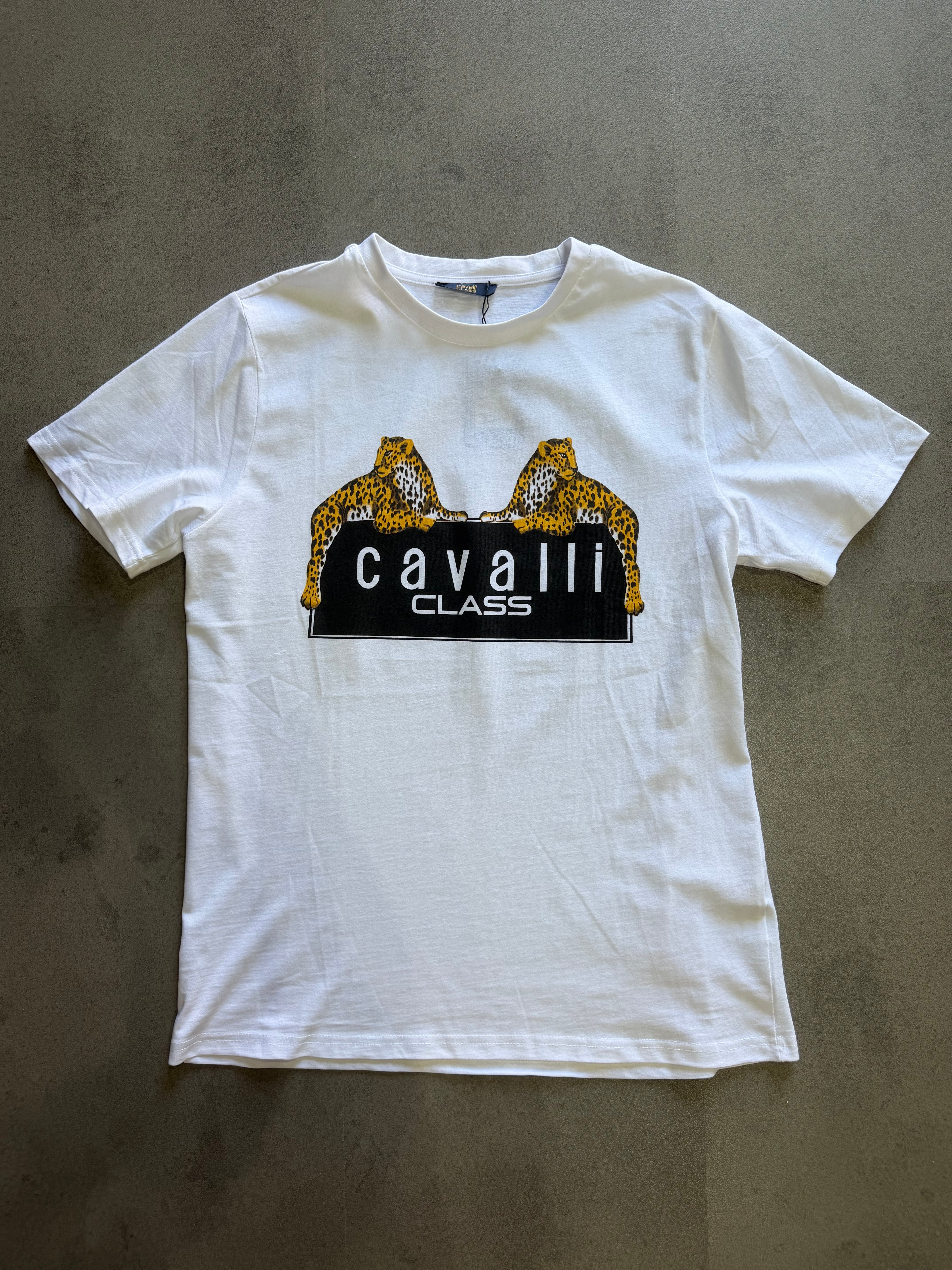 CAMISETA CAVALLI CLASS
