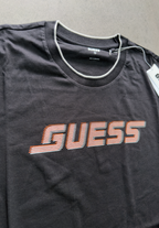 ENSEMBLE GUESS