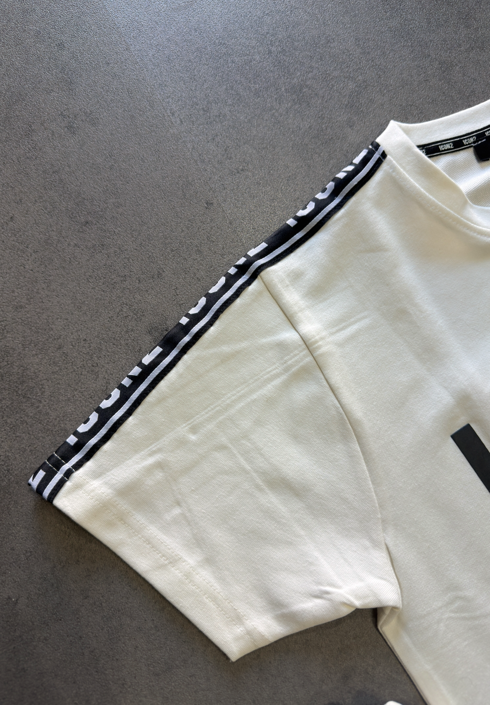 CONJUNTO ICON2