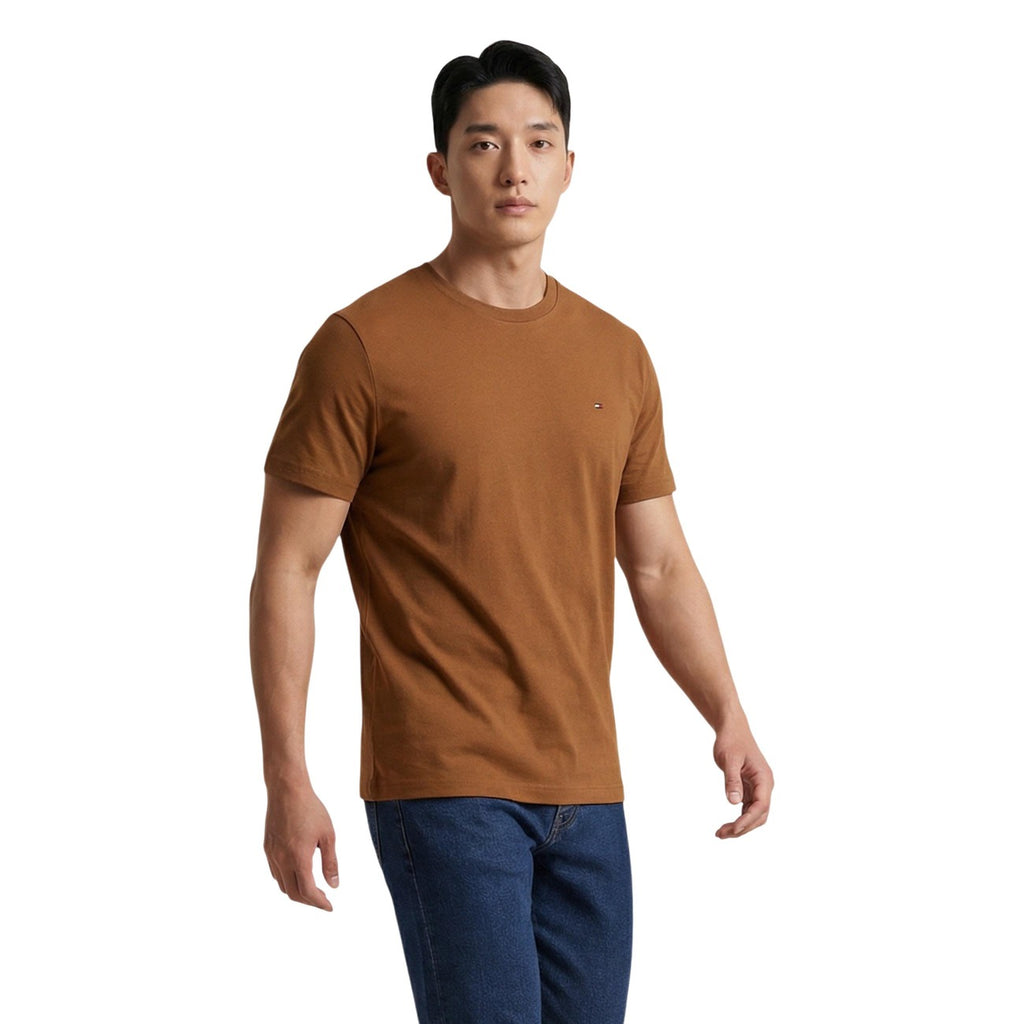 Tommy Hilfiger Homme T-shirts