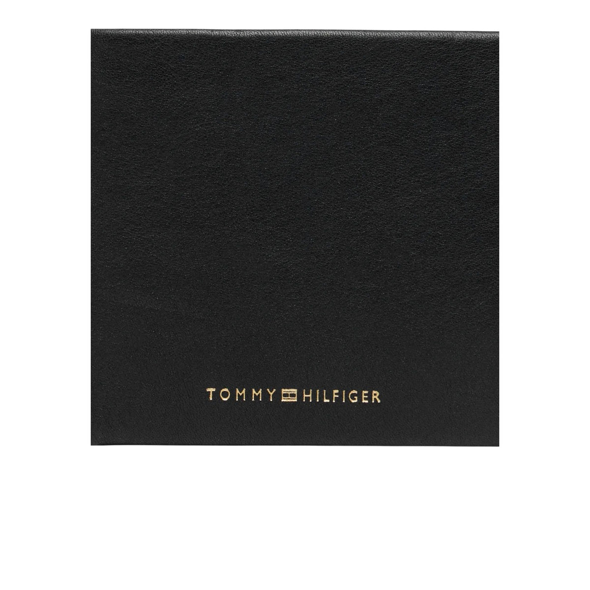 Tommy Hilfiger Hombre Carteras
