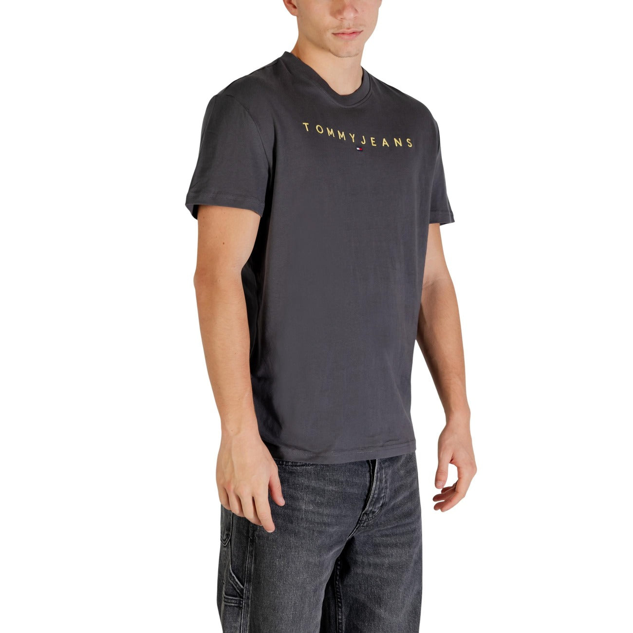 Tommy Hilfiger Jeans Homme T-shirts