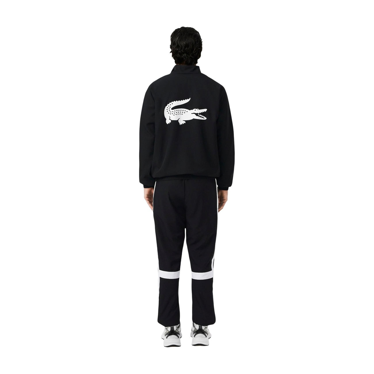 Lacoste Hombre Chándales