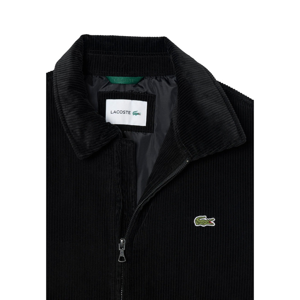 Chaqueta Lacoste Hombre Negro